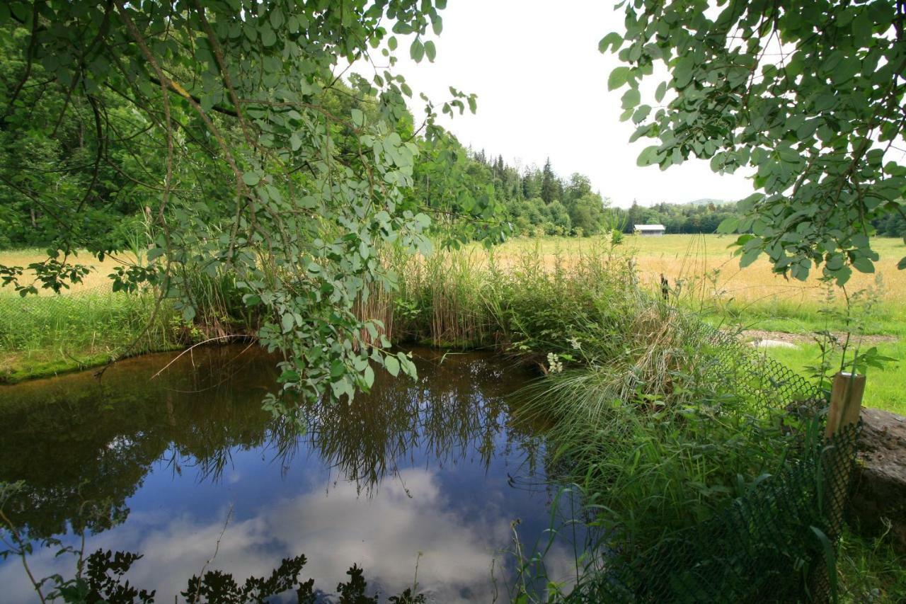Landgasthof Auerschmiede Irschenberg Exteriér fotografie