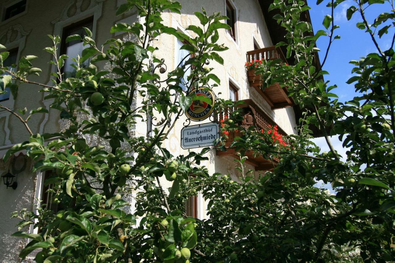 Landgasthof Auerschmiede Irschenberg Exteriér fotografie